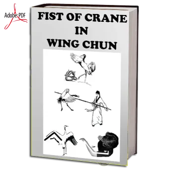 The crane fist in wing chun