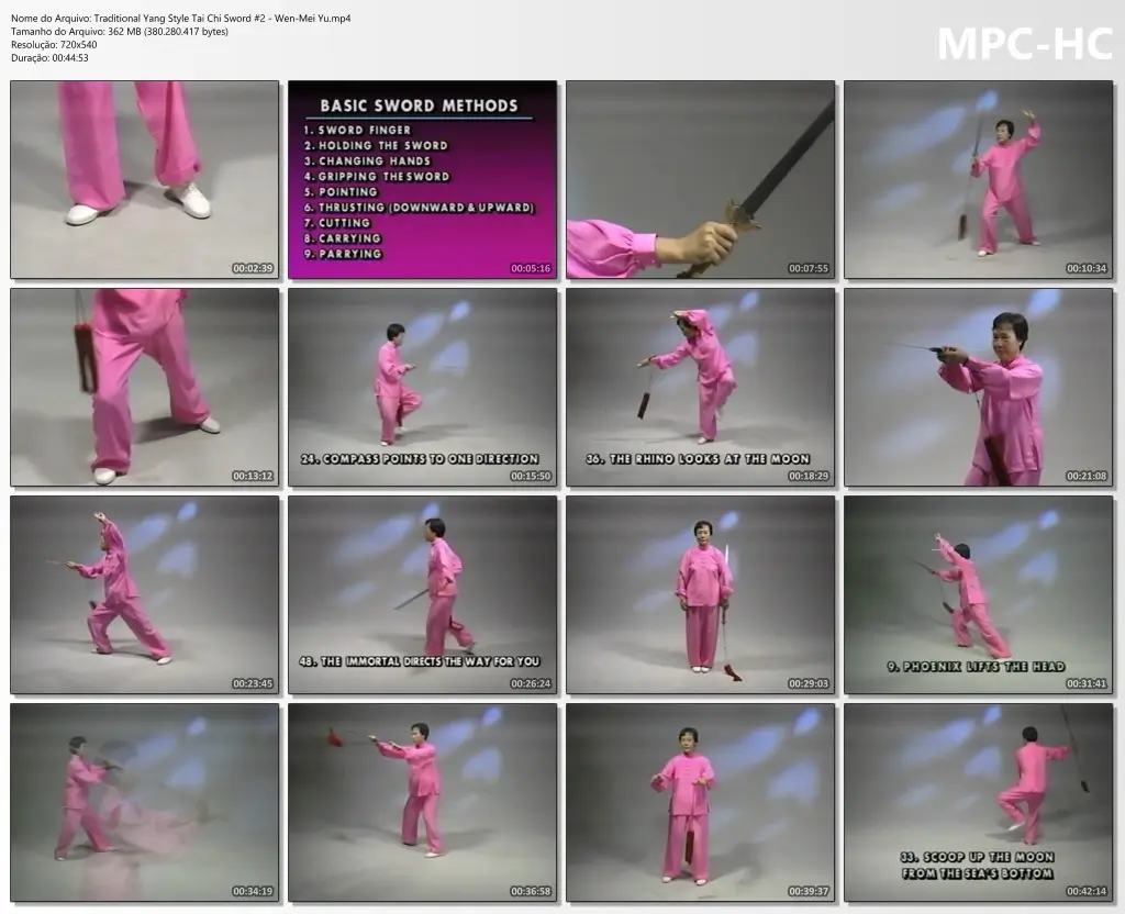 Traditional yang style tai chi sword #2 wen mei yu.mp4 thumbs