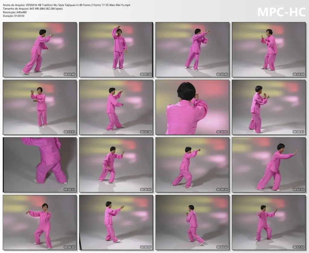 Vd5041a hb tradition wu style taijiquan in 89 forms 2 forms 17 55 wen mei yu.mp4 thumbs