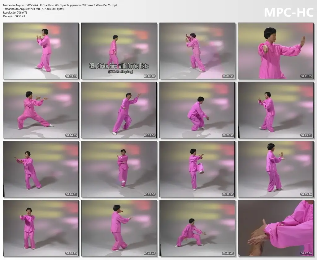 Vd5047a hb tradition wu style taijiquan in 89 forms 3 wen mei yu.mp4 thumbs
