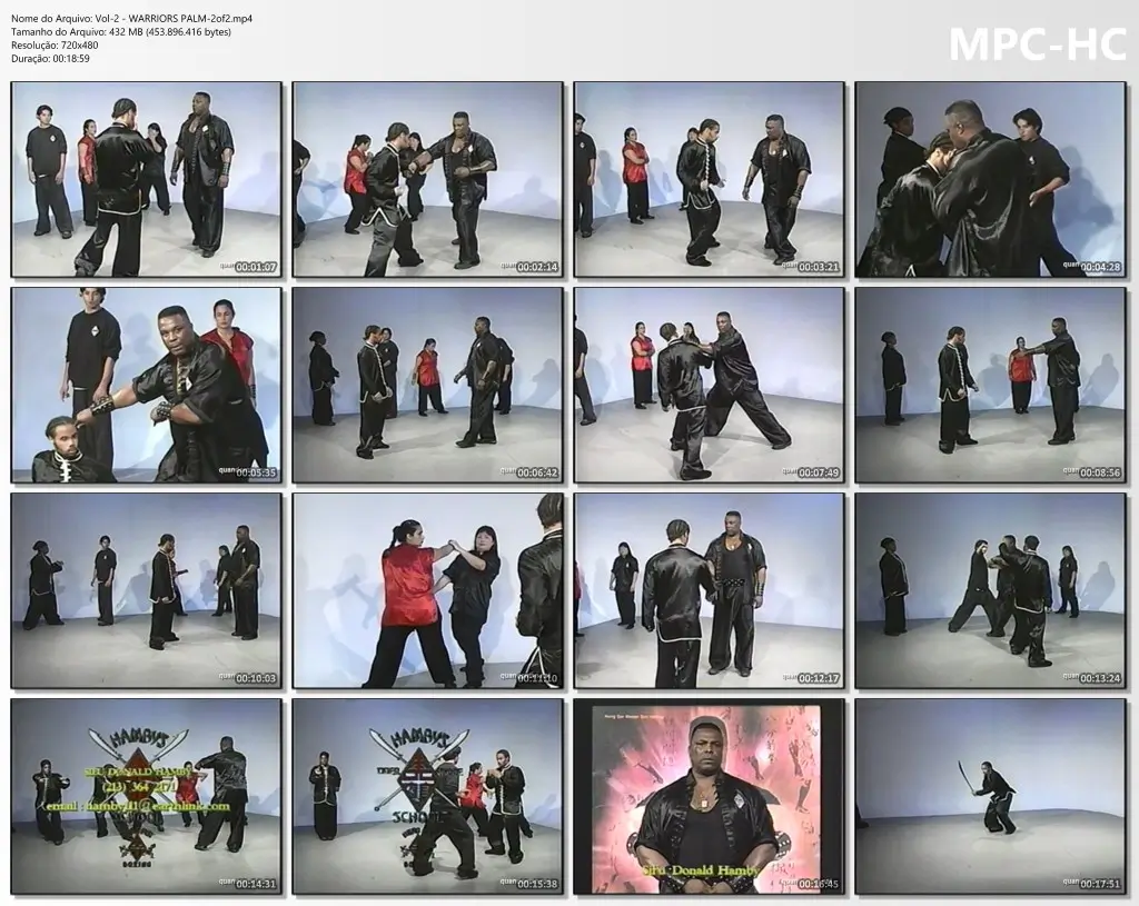 Vol 2 warriors palm 2of2.mp4 thumbs