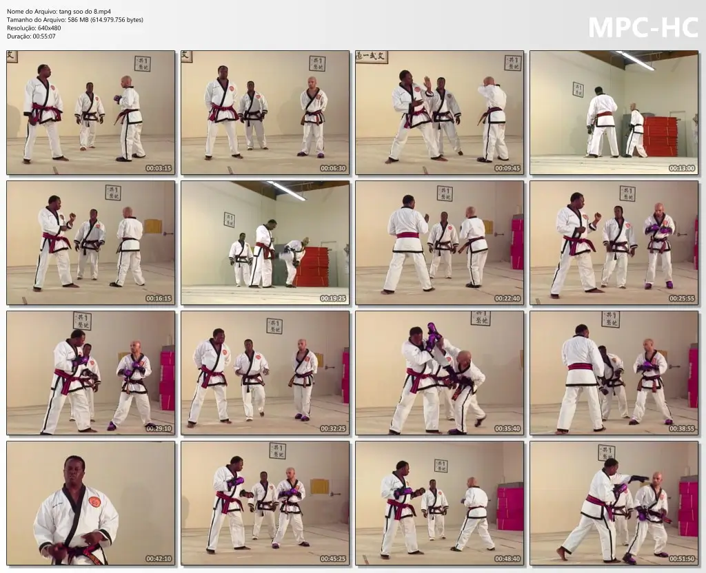 Tang soo do 8.mp4 thumbs