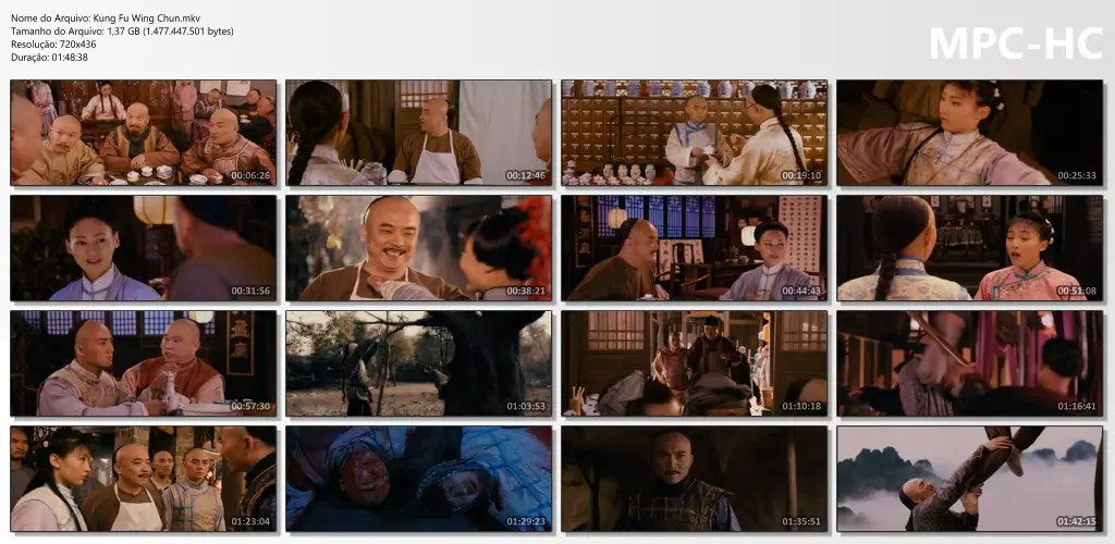 (2010) kung fu wing chun mp4