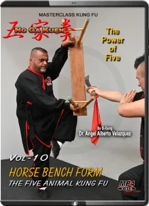 Angel velazquez ng ga kuen kung fu vol.10 horse bench form