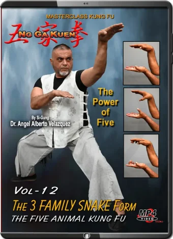 Angel velazquez ng ga kuen kung fu vol.12 the family snake form