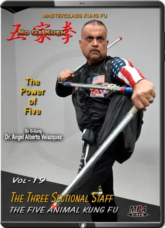 Angel velazquez ng ga kuen kung fu vol.19 the three sectional staff