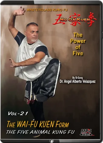 Angel velazquez ng ga kuen kung fu vol.21 the wai fu kuen form