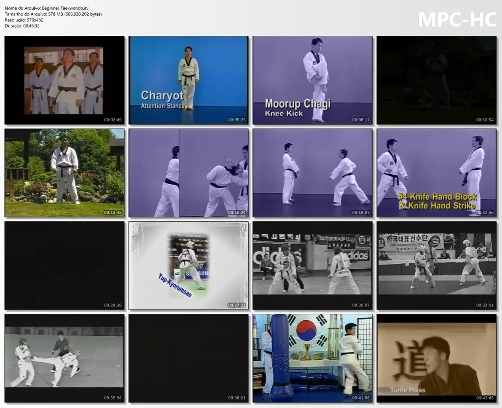 Beginner taekwondo.avi thumbs