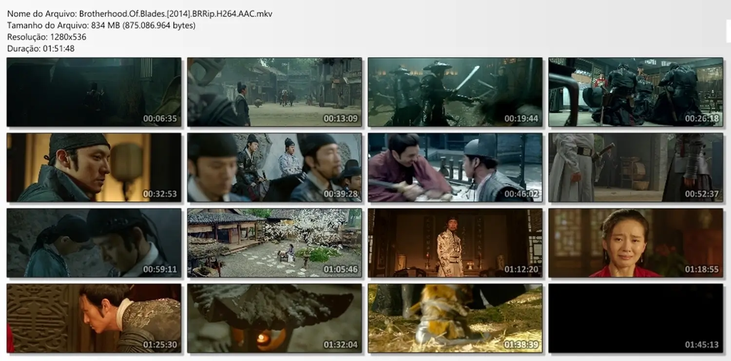 Brotherhood.of.blades screens