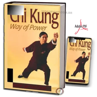 Chi kung way of power master lam kam chuen