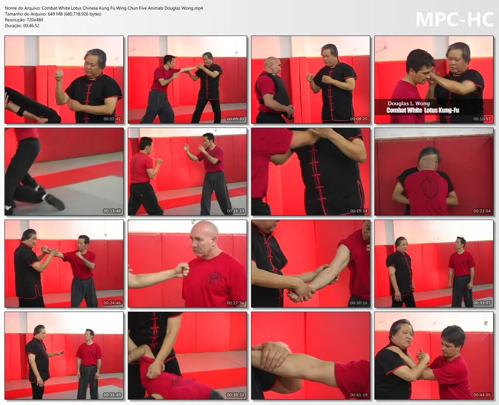 Combat white lotus chinese kung fu wing chun five animals douglas wong.mp4 thumbs