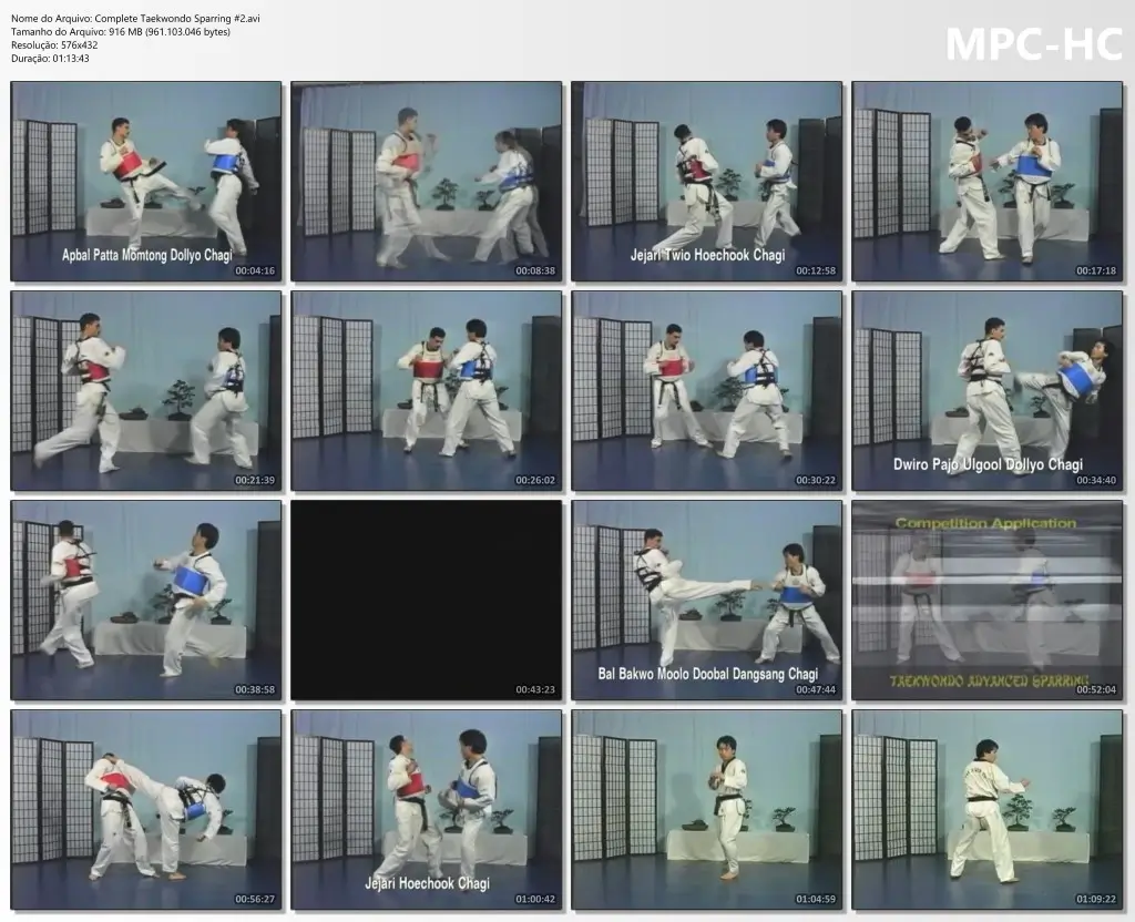 Complete taekwondo sparring #2.avi thumbs