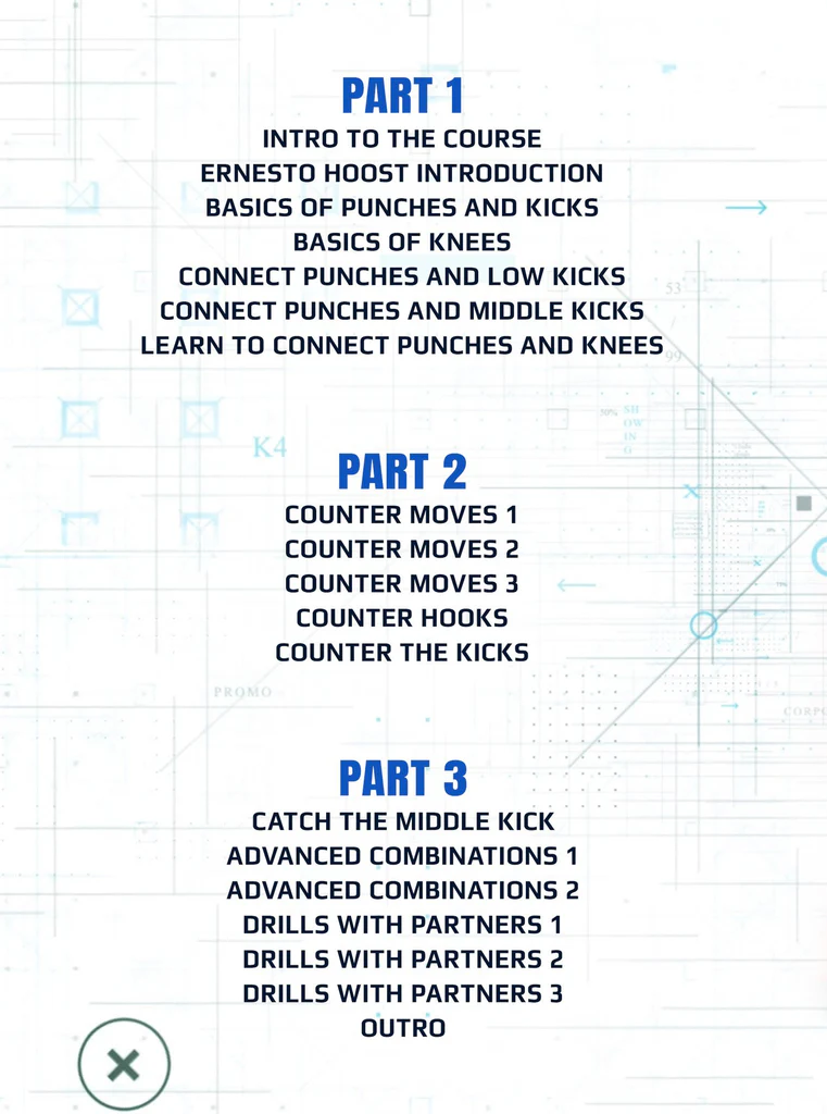 Ernestohoost thedutchkickboxingblueprint backcover 1024x1024
