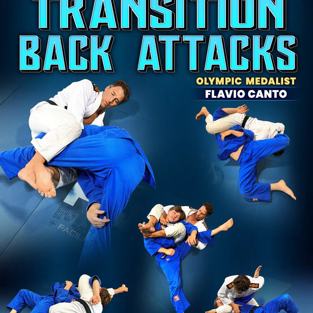 Flaviocanto theprogressivesystem transitionbackattacks coverfront