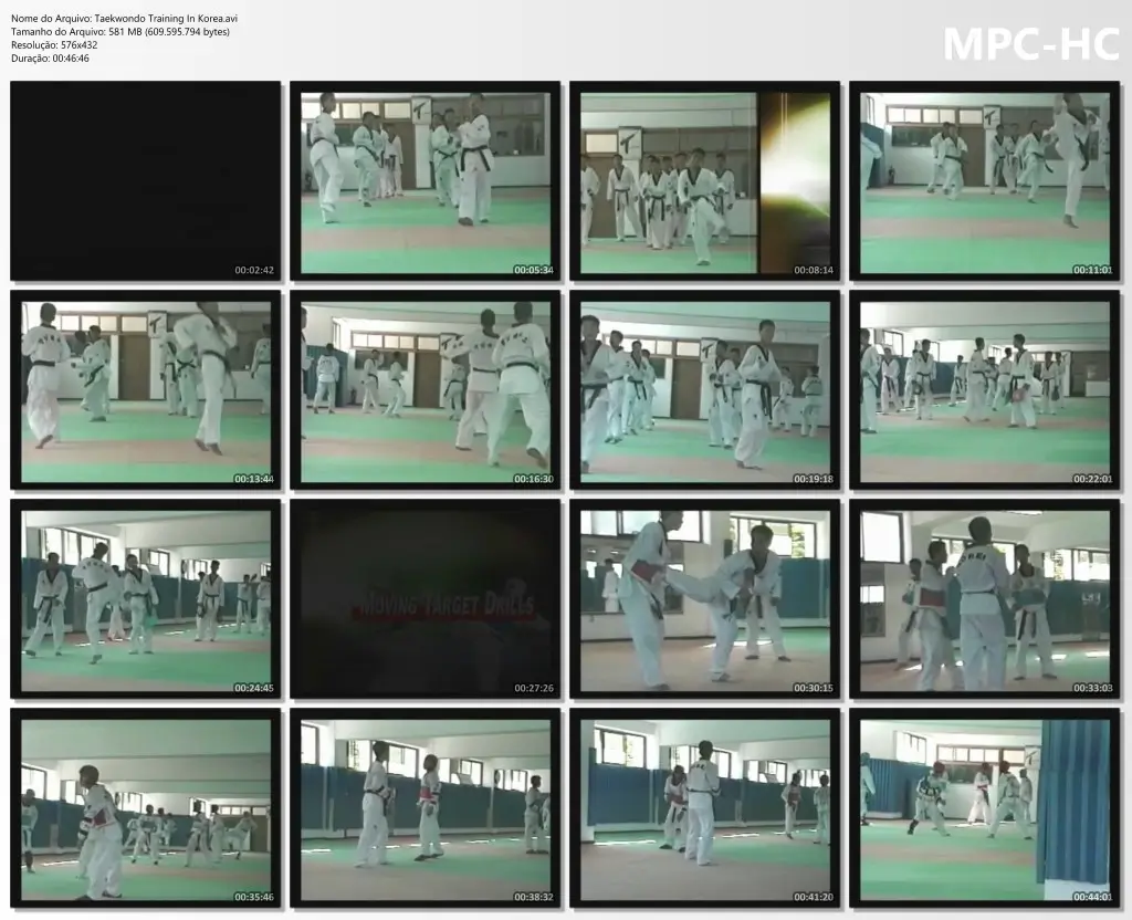 Kuk hyun chung – taekwondo training in korea c