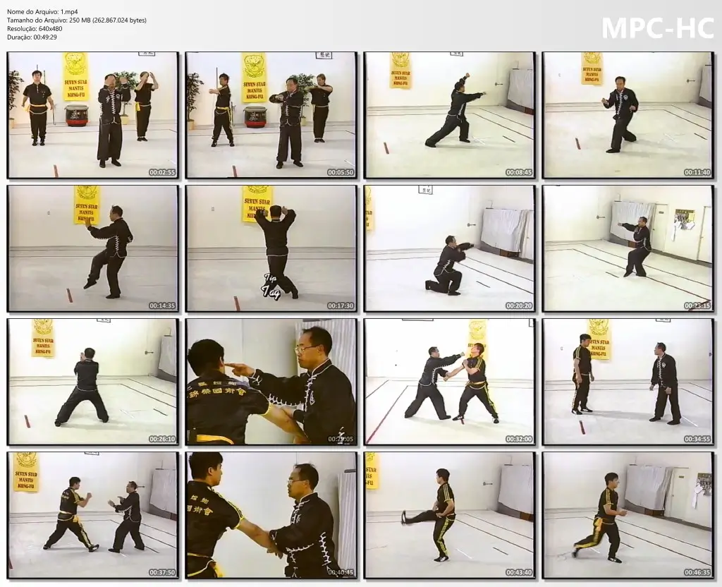Lee kam wing – northern mantis kung fu 1 – beginning crushing step vhs