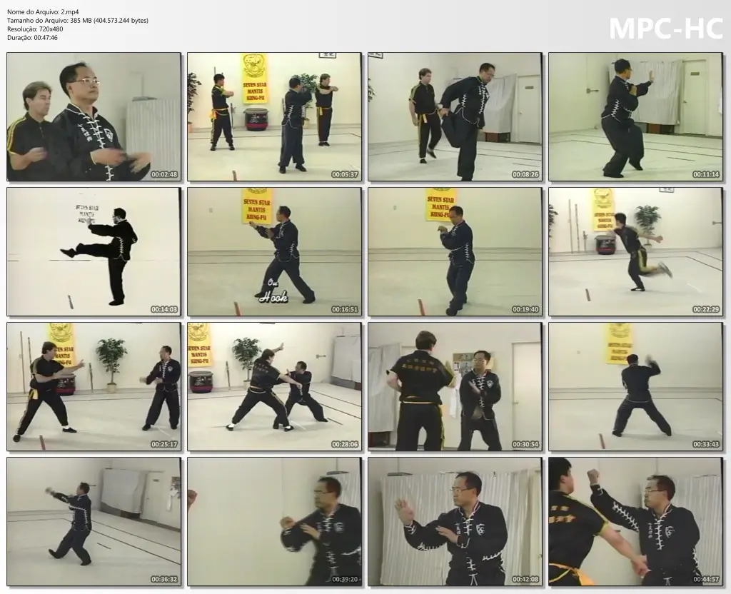 Lee kam wing – northern mantis kung fu 2 – big wheel fist mp4
