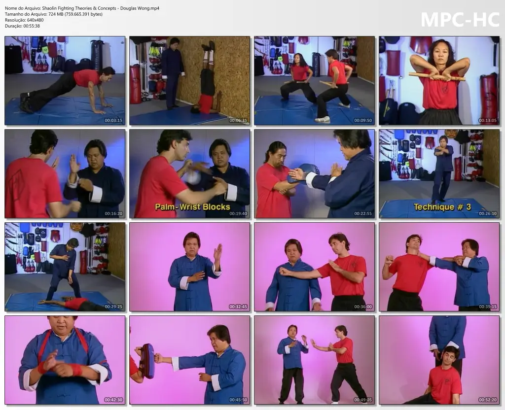 Shaolin fighting theories & concepts douglas wong.mp4 thumbs