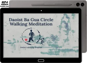 Tom bisio daoist bagua circle walking walking meditation