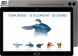 Tom bisio five elements qigong (wu xing)