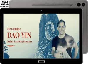 Tom bisio the complete dao yin