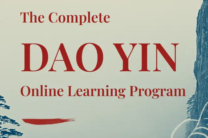 Tom bisio the complete dao yin dvd