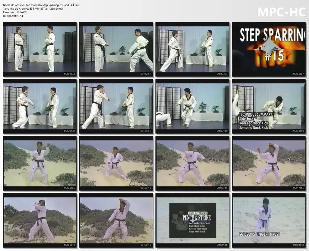 Tae kwon do step sparring & hand skills.avi thumbs