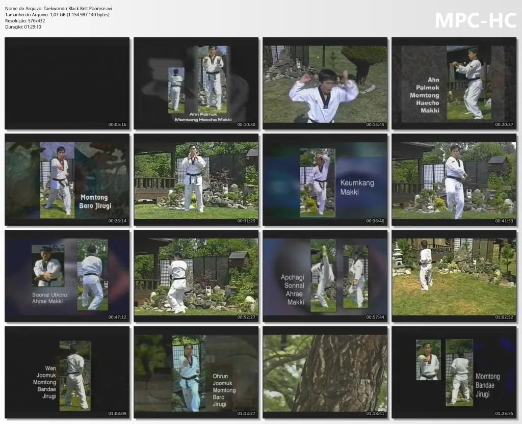 Taekwondo black belt poomse.avi thumbs