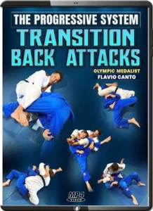 The progressive system transition back attacks by flavio canto