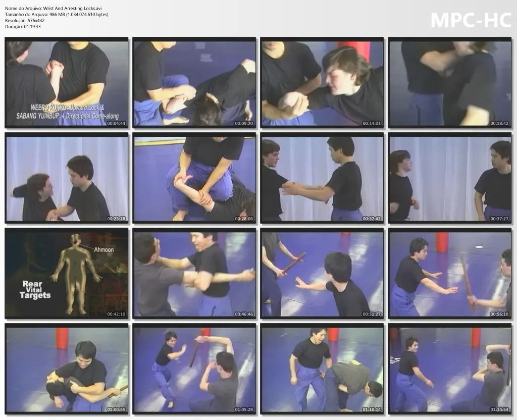 Wrist and arresting locks.avi thumbs