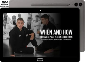 Tainan dalpra & gui mendes when and how