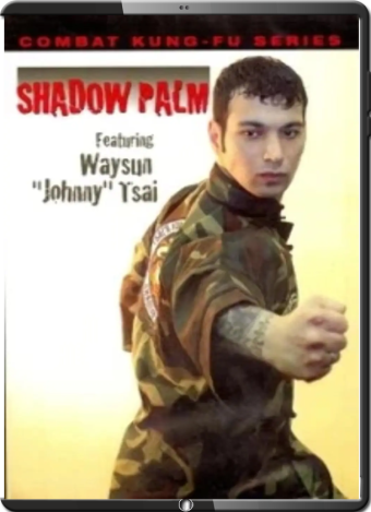 Waysun johnny tsai combat kung fu shadow palm cutting punch capa
