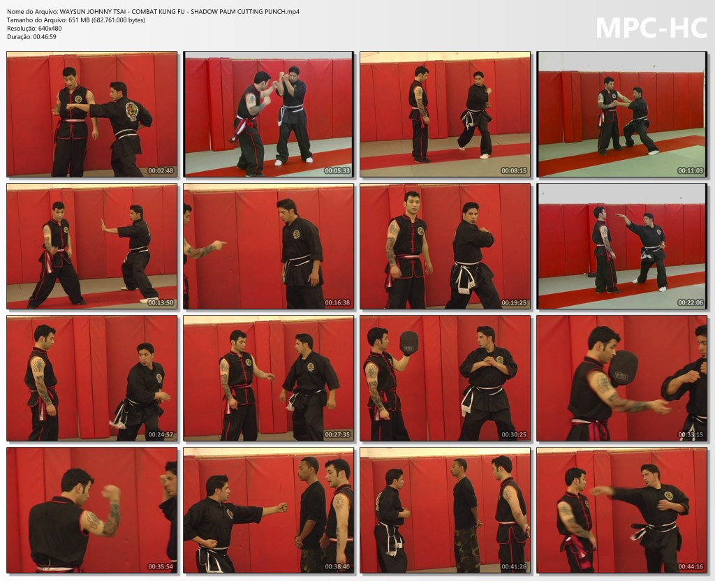 Waysun johnny tsai combat kung fu shadow palm cutting punch.mp4 thumbs