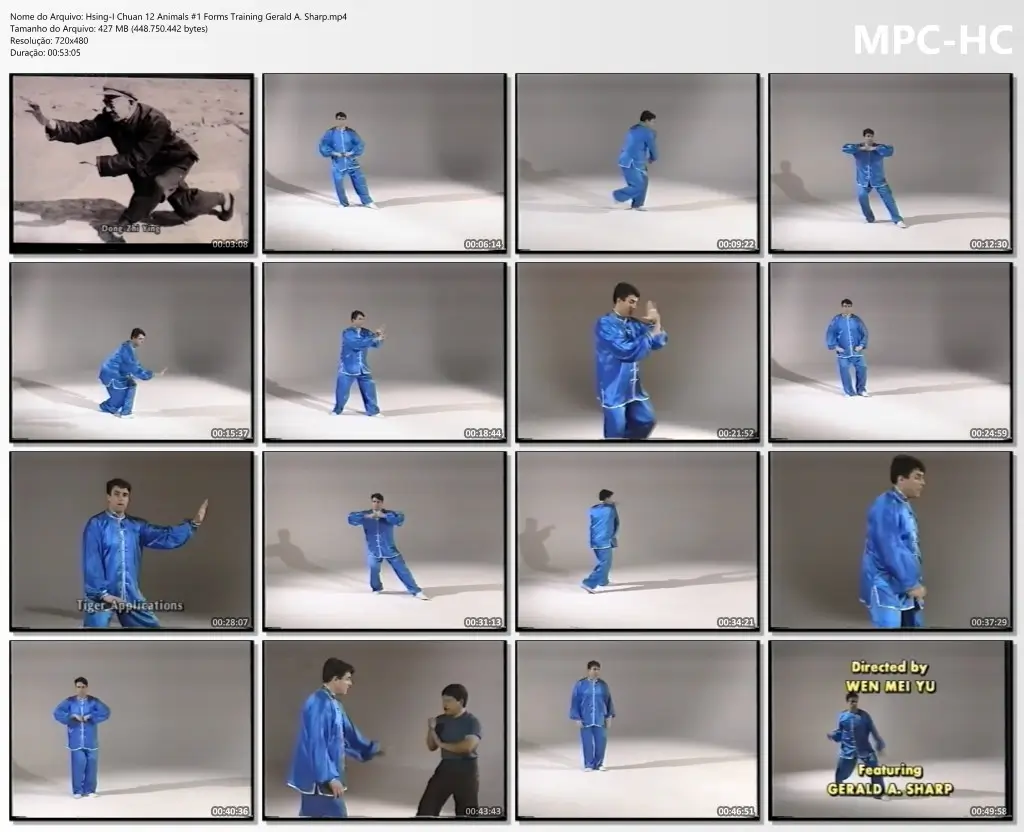 Hsing I Chuan 12 Animals #1 Forms Training Gerald A. Sharp.mp4 thumbs