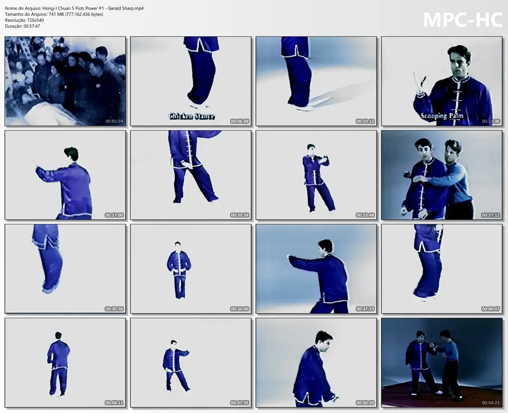 Hsing I Chuan 5 Fists Power #1 Gerald Sharp.mp4 thumbs