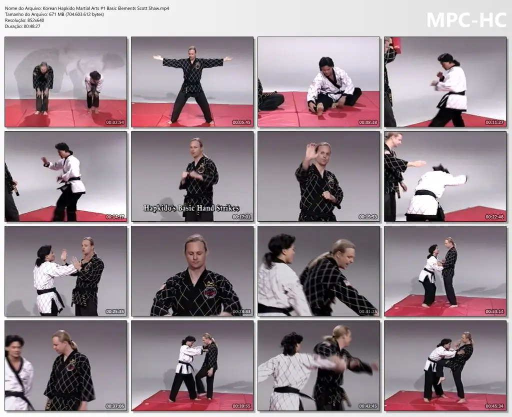 Korean Hapkido Martial Arts #1 Basic Elements Scott Shaw.mp4 thumbs