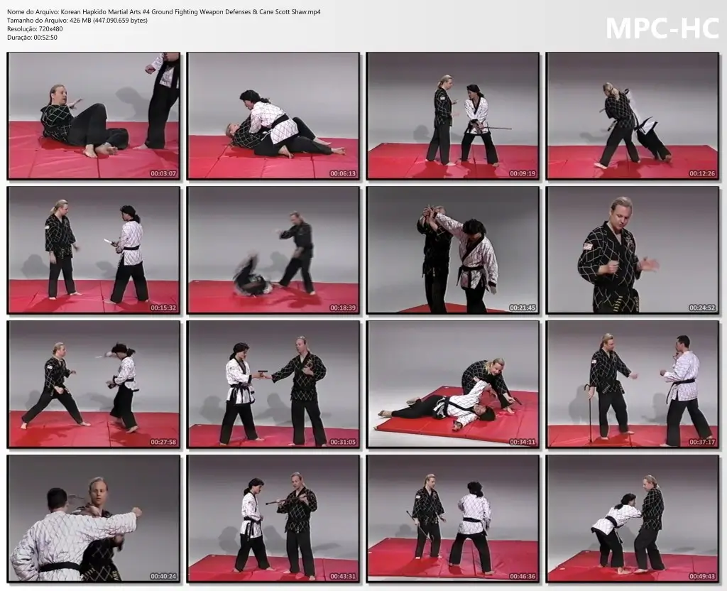Korean Hapkido Martial Arts #4 Ground Fighting Weapon Defenses & Cane Scott Shaw.mp4 thumbs