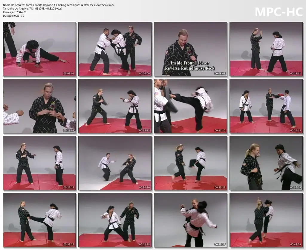 Korean Karate Hapkido #3 Kicking Techniques & Defenses Scott Shaw.mp4 thumbs