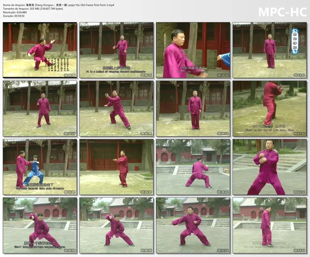 ZHANG DONGWU - THE SECOND OF CHEN STYLE TAIJI AND ACTUAL COMBAT OLD ...