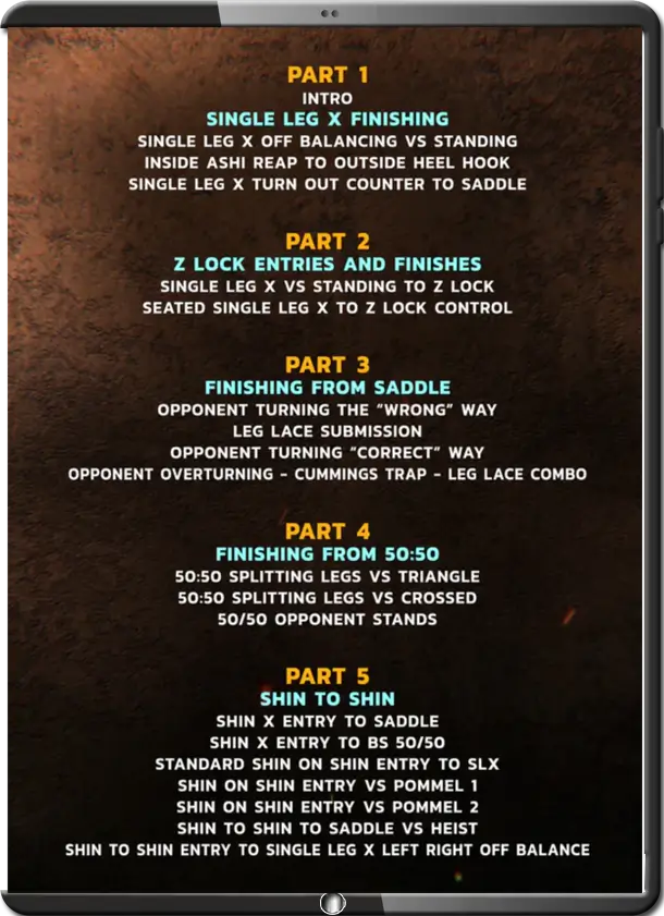 'FLANAGAN LEGLOCKS THE UK VARIANT C2