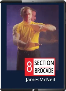 JAMES McNEIL 8 SECTION BROCADE