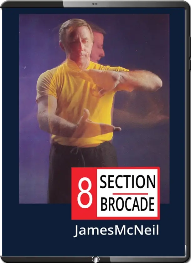 JAMES McNEIL 8 SECTION BROCADE