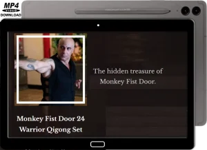 JIANGYUSHAN 3° WARRIOR NEIGONG MONKEY FIST DOOR 24 WARRIOR QIGONG SET