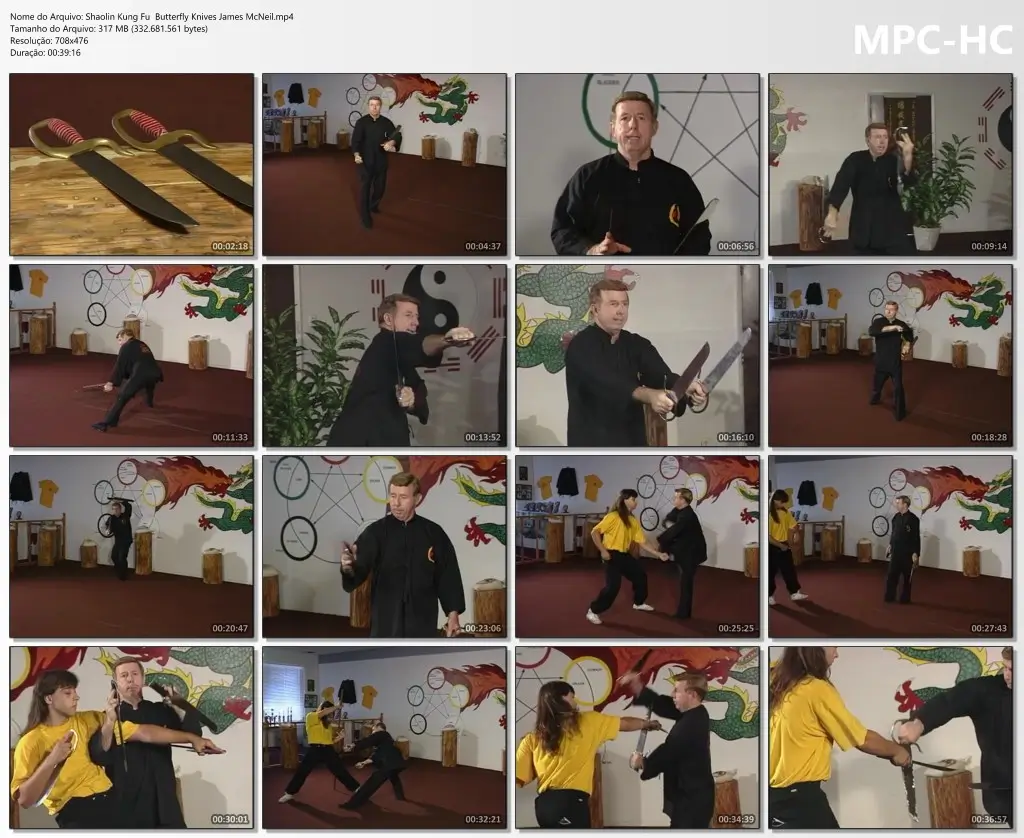 Shaolin Kung Fu Butterfly Knives James McNeil.mp4 thumbs