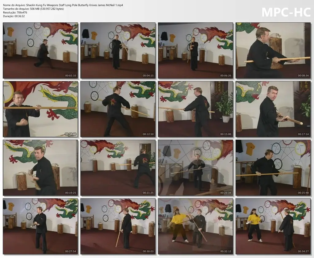 Shaolin Kung Fu Weapons Staff Long Pole Butterfly Knives James McNeil 1.mp4 thumbs
