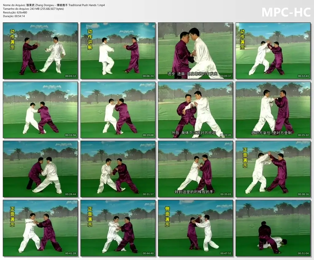 張東武 Zhang Dongwu 傳統推手 Traditional Push Hands 1.mp4 thumbs