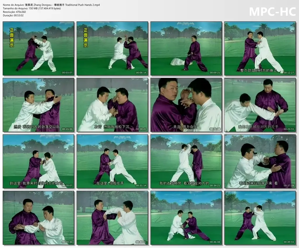 張東武 Zhang Dongwu 傳統推手 Traditional Push Hands 2.mp4 thumbs