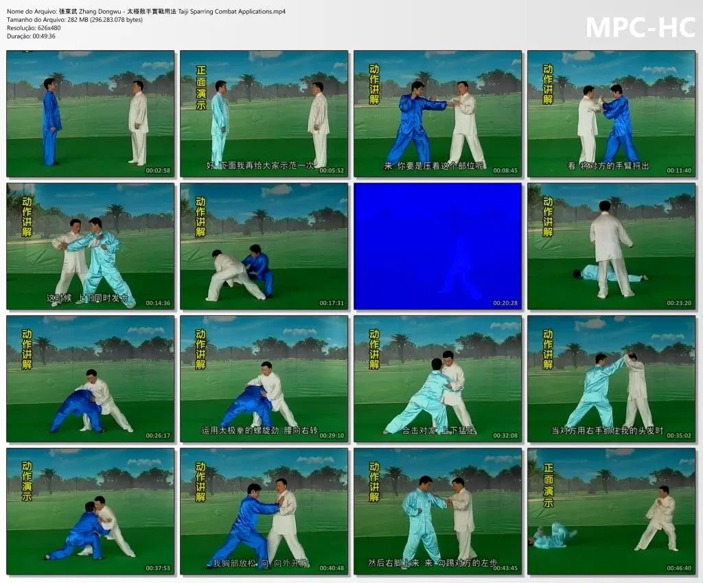 張東武 Zhang Dongwu 太極散手實戰用法 Taiji Sparring Combat Applications.mp4 thumbs