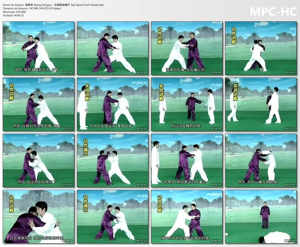 張東武 Zhang Dongwu 太極競技推手 Taiji Sports Push Hands.mp4 thumbs