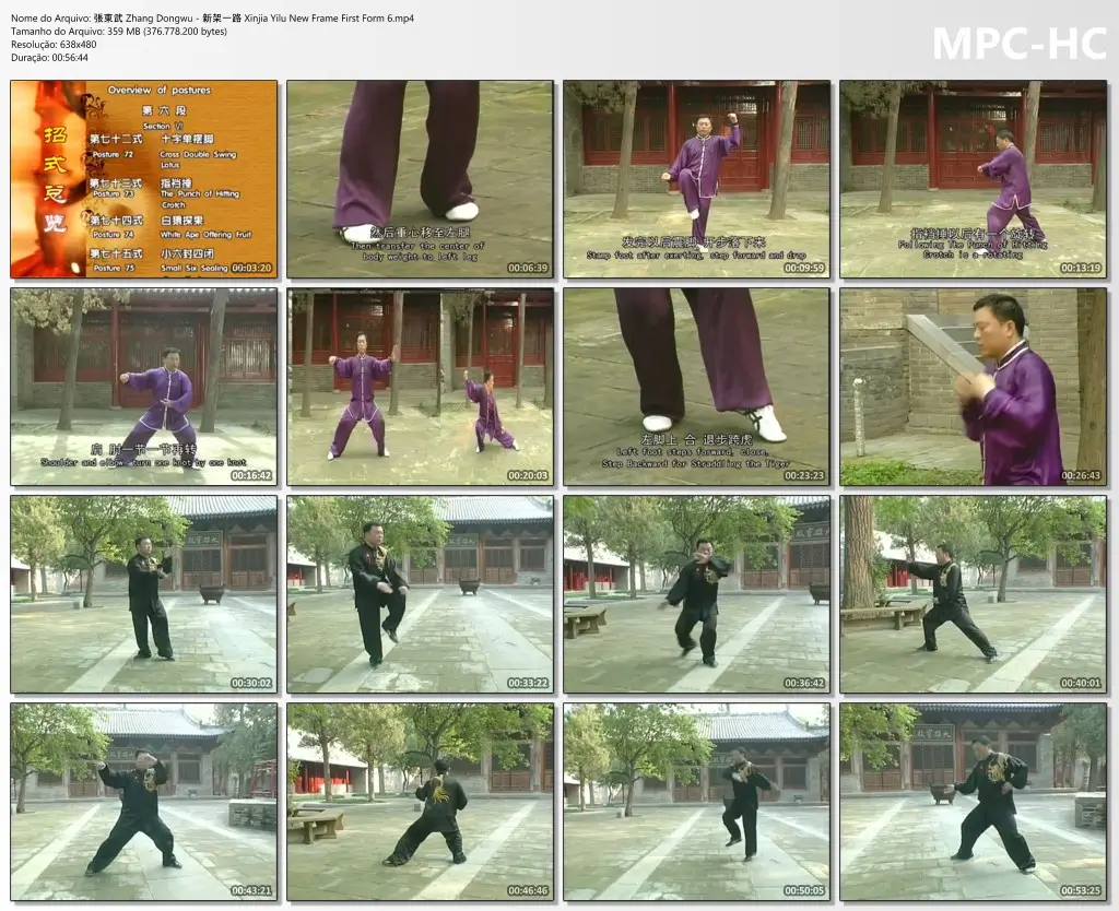 張東武 Zhang Dongwu 新架一路 Xinjia Yilu New Frame First Form 6.mp4 thumbs